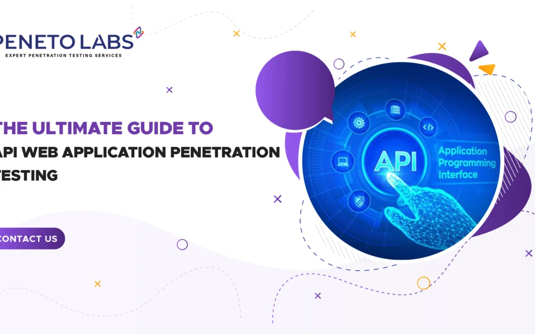 The Ultimate Guide to API Web Application Penetration Testing