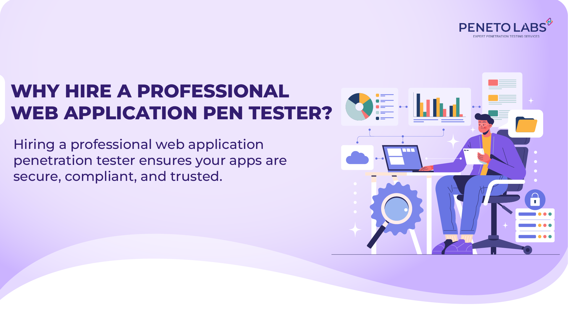 Why Hire a Professional Web Application Penetration Tester?