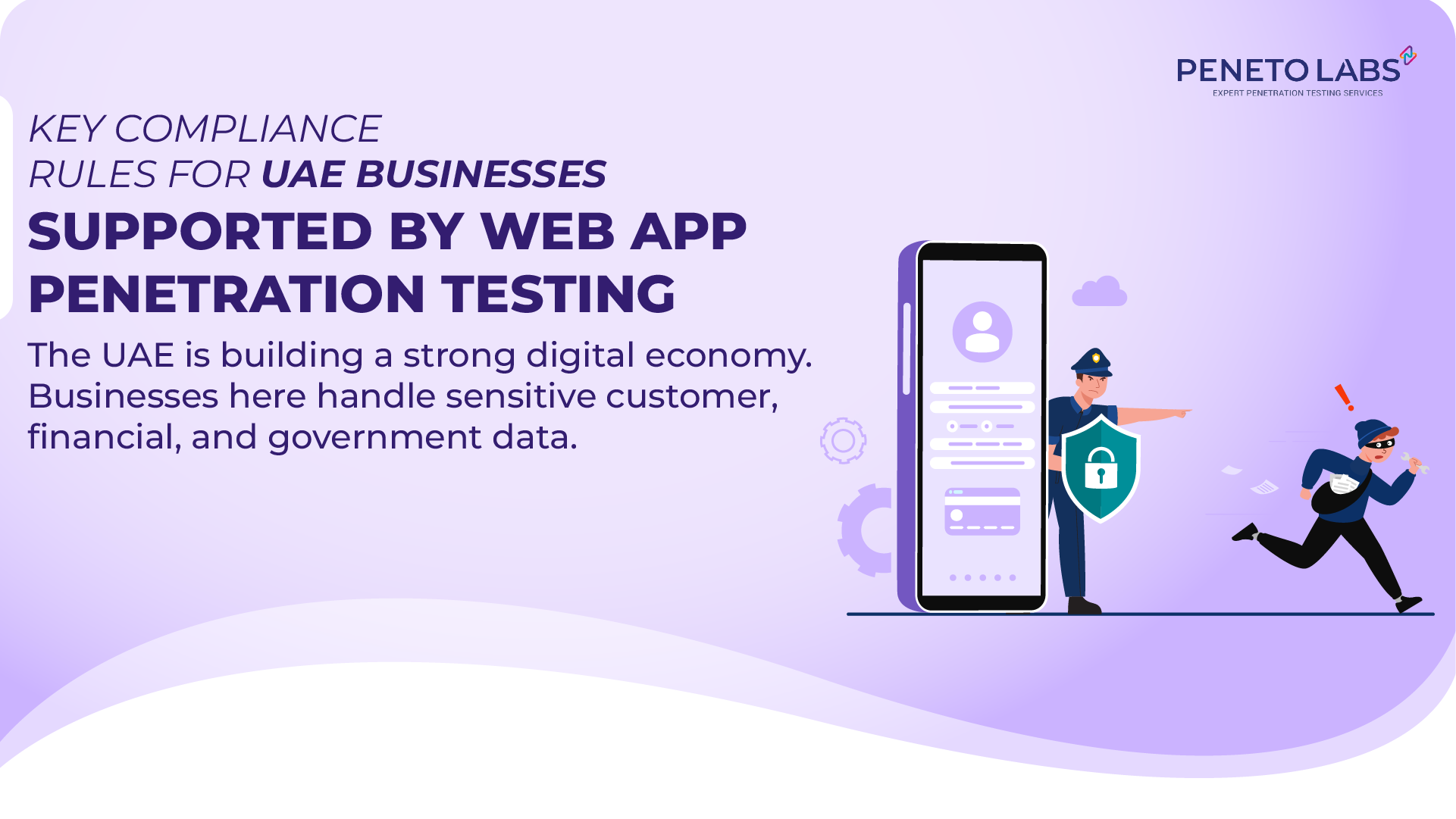 Key Compliance Rules for UAE businesses Supported by Web Application Penetration Testing