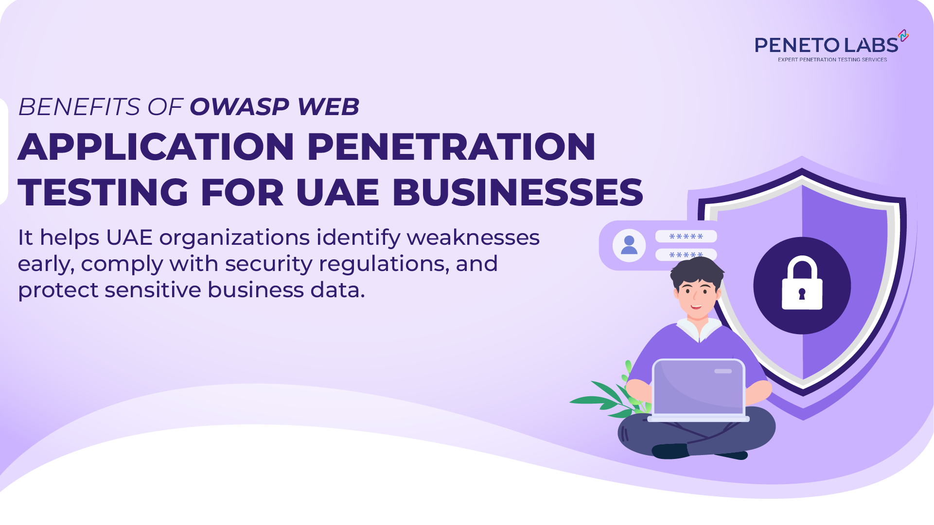 Benefits of OWASP Web Application Penetration Testing for UAE Businesses