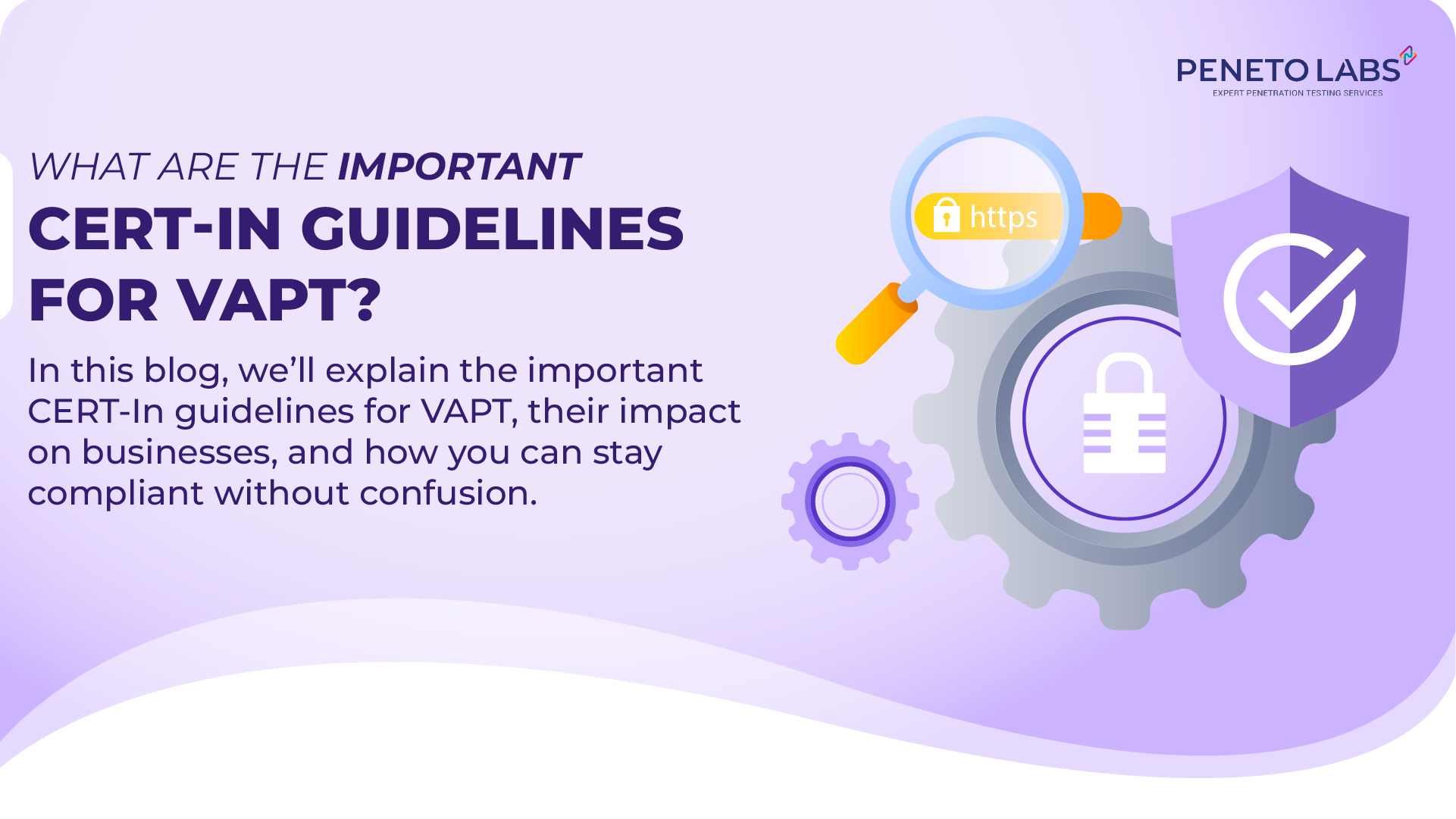 What are the Important CERT-In Guidelines for VAPT?