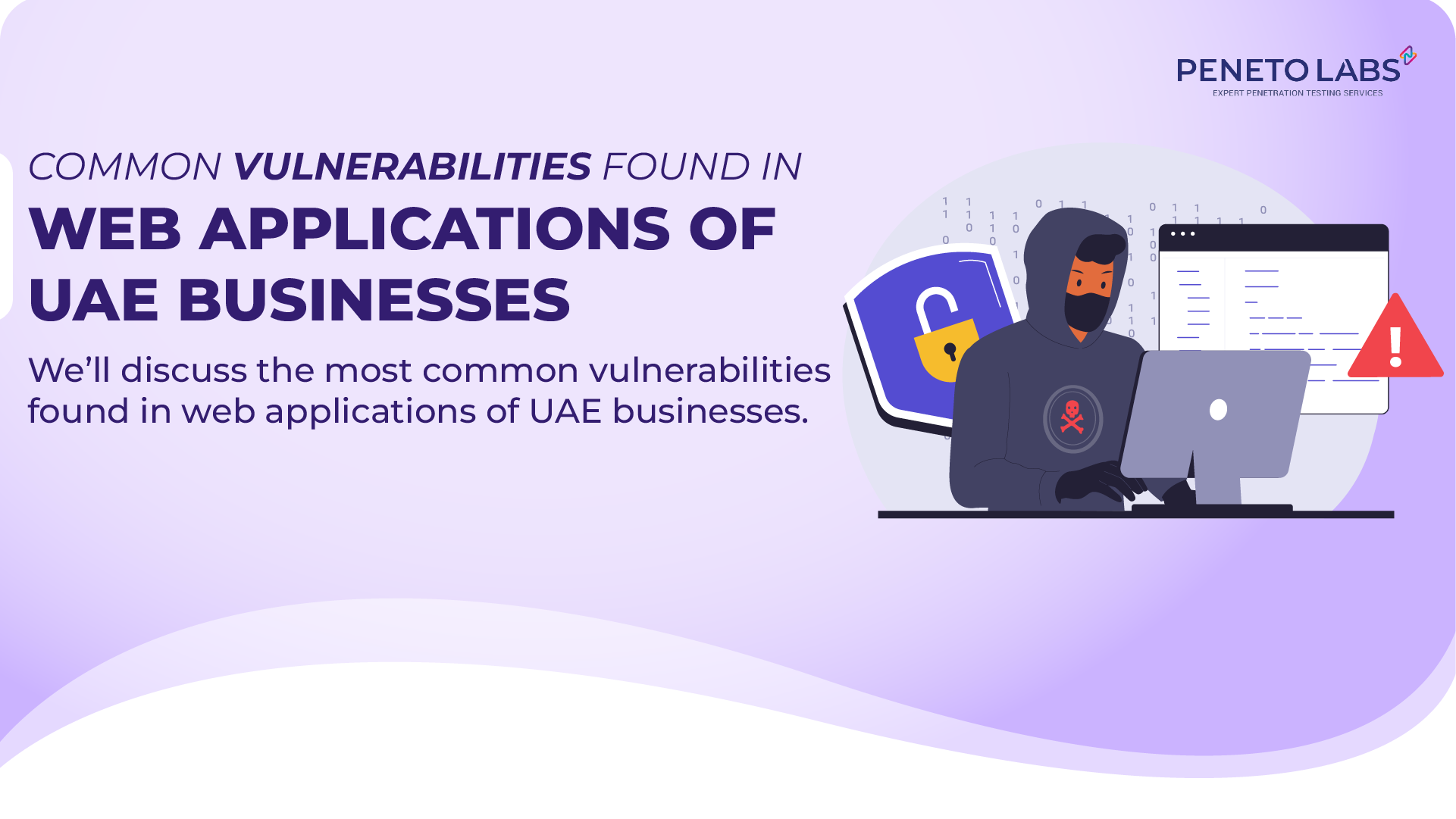 Common Vulnerabilities Found in Web Applications of UAE Businesses
