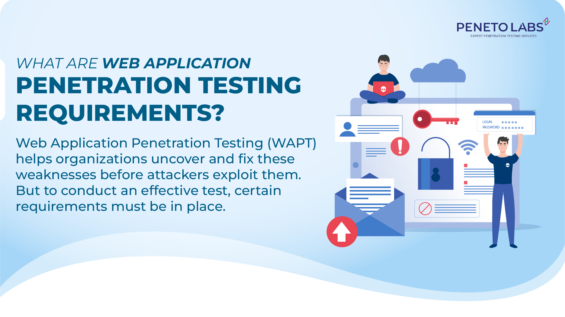What Are Web Application Penetration Testing Requirements?