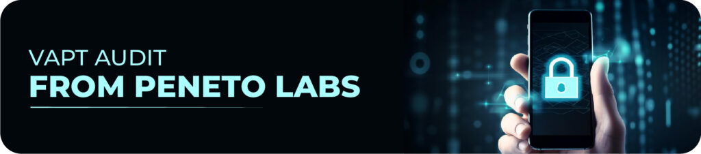 Get High Quality VAPT Audit from Peneto Labs