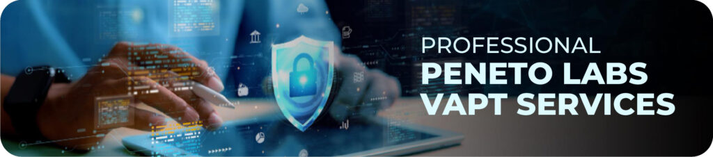 How to Get Started with Peneto Labs VAPT Services