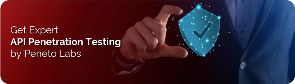 Get Expert API Penetration Testing by&nbsp;Peneto&nbsp;Labs