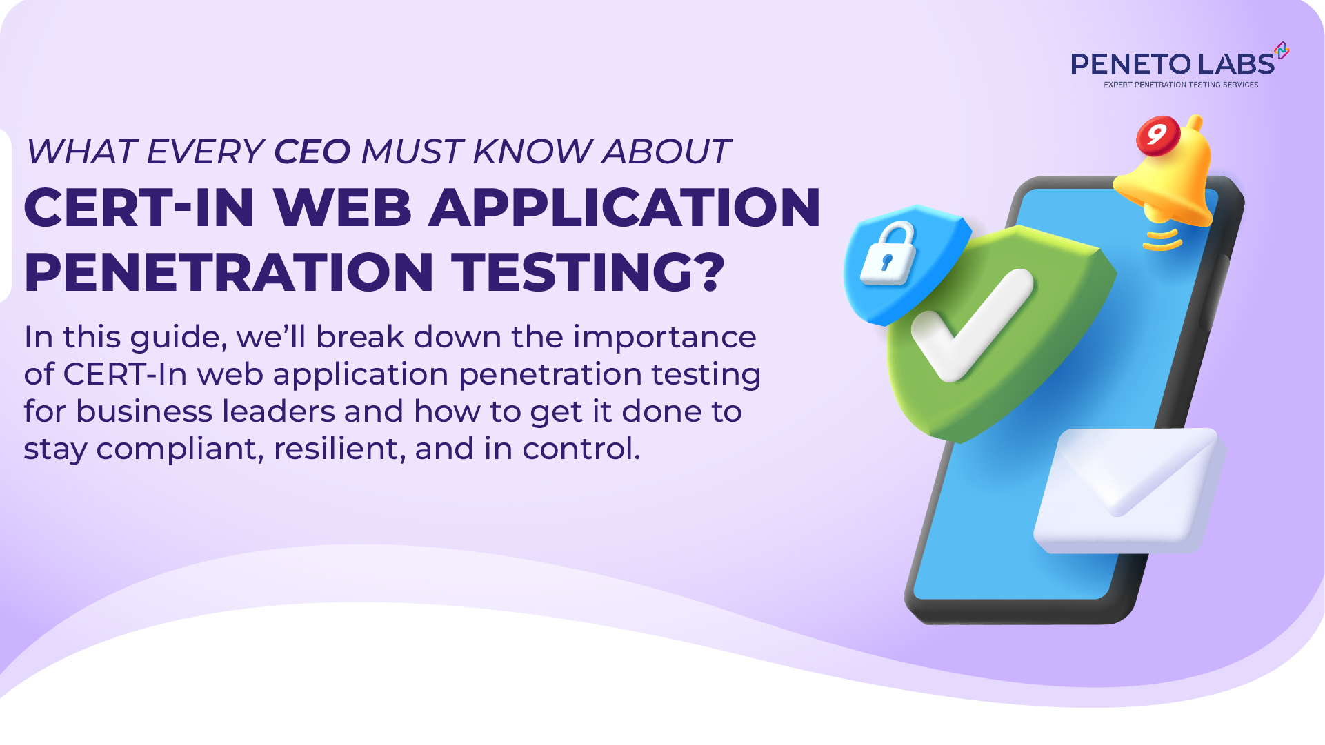 What Every CEO Must Know about CERT-In Web Application Penetration Testing?