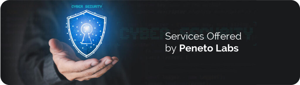 Services Offered by&nbsp;Peneto&nbsp;Labs
