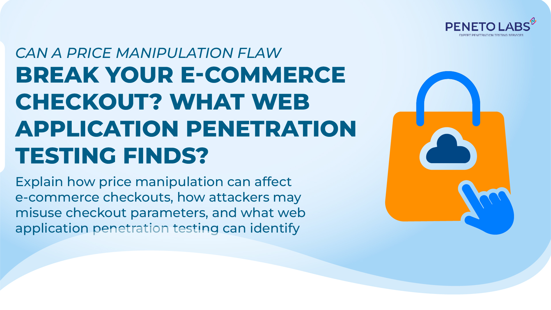 Can a Price Manipulation Flaw Break Your E-commerce Checkout? What Web Application Penetration Testing Finds?