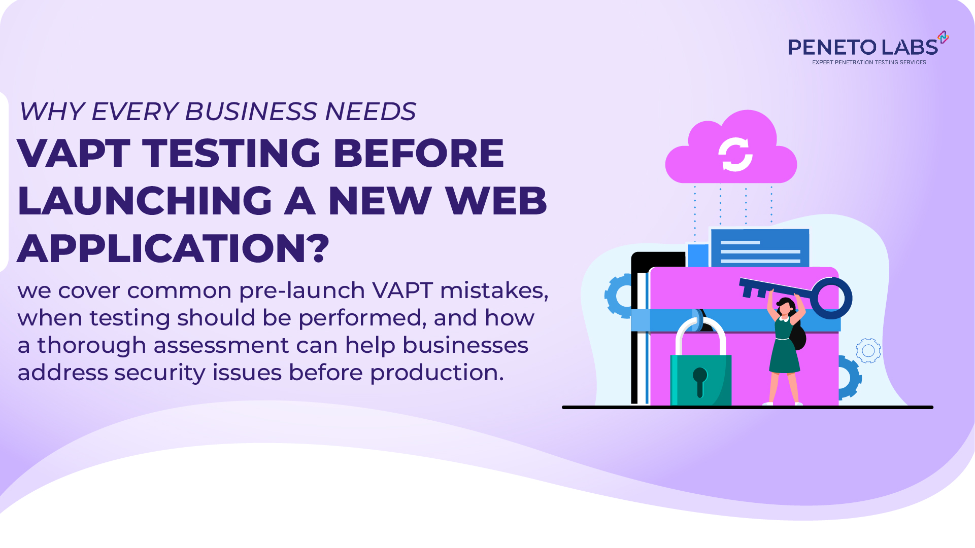 Why Every Business Needs VAPT Testing Before Launching a New Web Application?