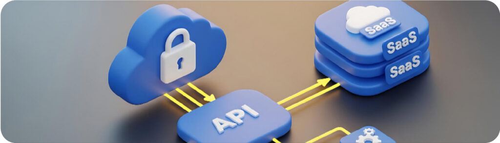 CERT-In Empanelled Auditor Assess API Authentication